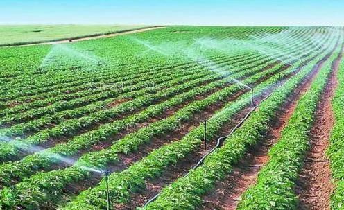 妇女操嫩逼农田高 效节水灌溉